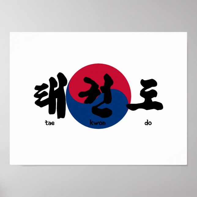 Tae Kwon Do with Flag Poster (Front)