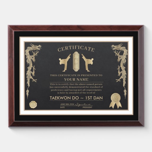 Taekwon Do Award Plaque (Horizontal)
