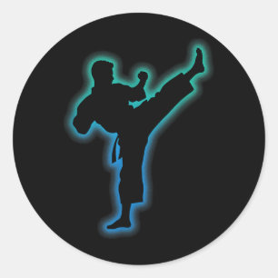 Taekwondo Apparel Martial Arts Shirt Kids Men Boys Classic Round Sticker