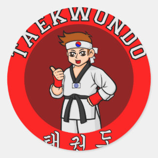 taekwondo guy badge 1 classic round sticker