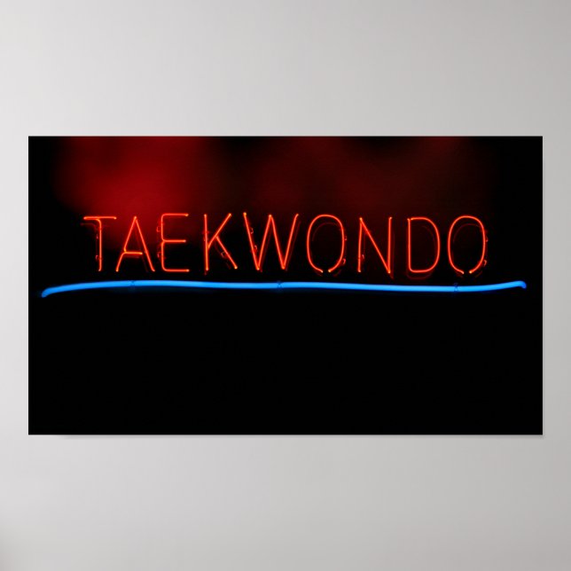 Taekwondo Poster (Front)