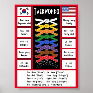 Taekwondo Poster