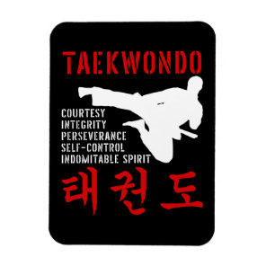 Taekwondo Tenets Flying Kick Korean Martial Arts Magnet