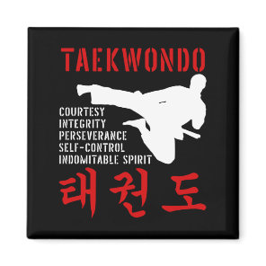 Taekwondo Tenets Flying Kick Korean Martial Arts Magnet