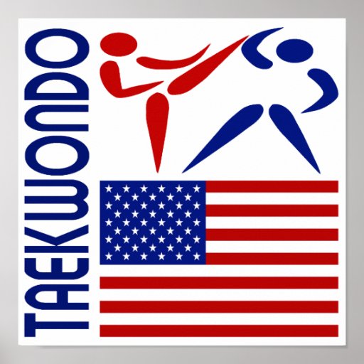 Taekwondo United States Print