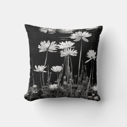 Tagslione about ROSHAN FASHION SHOP Throw Pillow