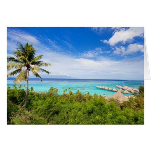 Tahiti (Front Horizontal)