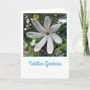 Tahitian Gardenia Card