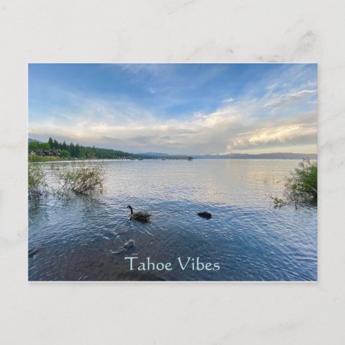 Tahoe Vibes Postcard