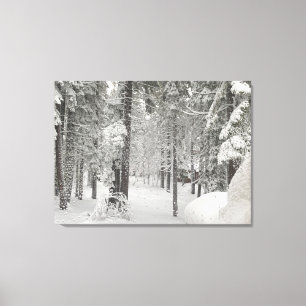 Tahoe Winter Wonderland Canvas Print