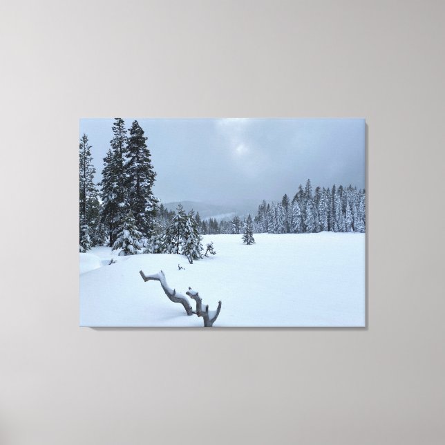 Tahoe Winter Wonderland Canvas Print (Front)
