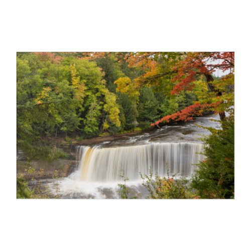 Tahquamenon Falls in Fall Acrylic Print