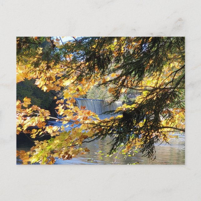 Tahquamenon Falls Postcard (Front)