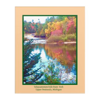 Tahquamenon Falls State Park, Mi. Acrylic Wall Art