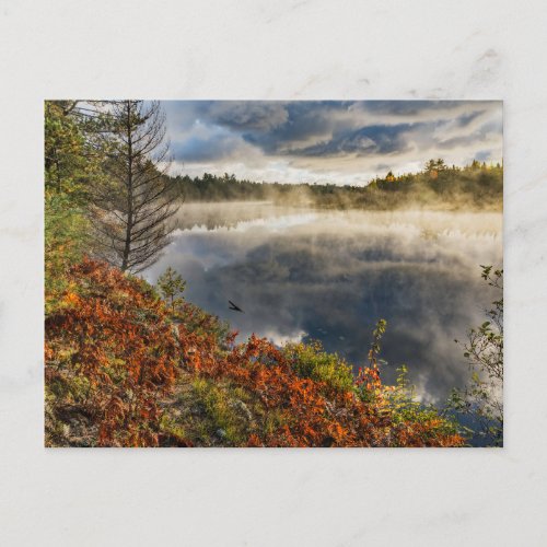 Tahquamenon River Sunrise  Paradise Michigan Postcard