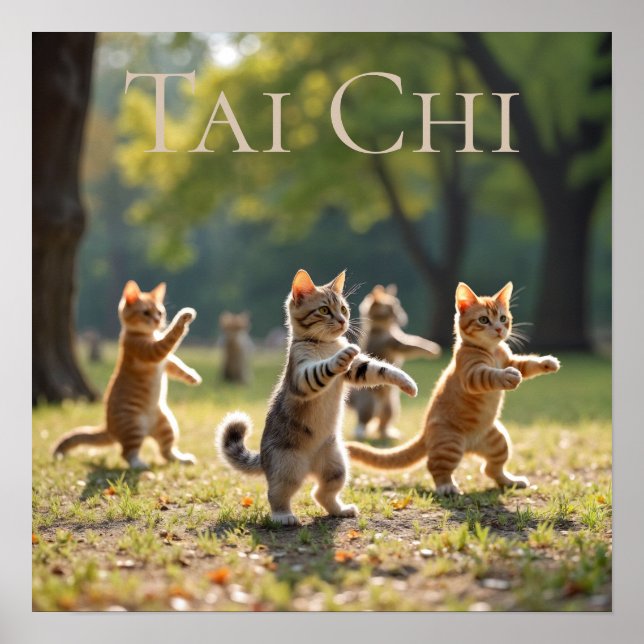 Tai Chi Cats Poster (Front)