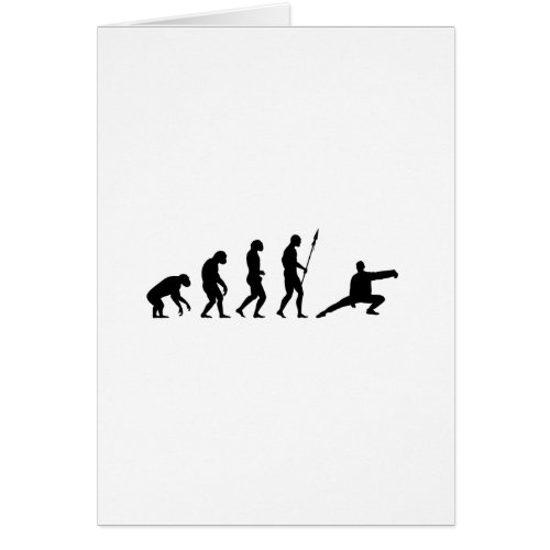 tai chi evolution