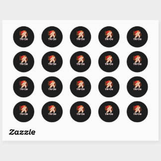 Tai Chi Instructor Tai Chi Cat Classic Round Sticker