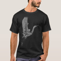 Tai Chi White Flying Crane Qi Gong Illustration