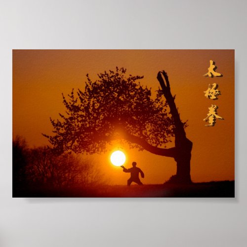 Taichi taiji arbre cerisier soleil couchant poster