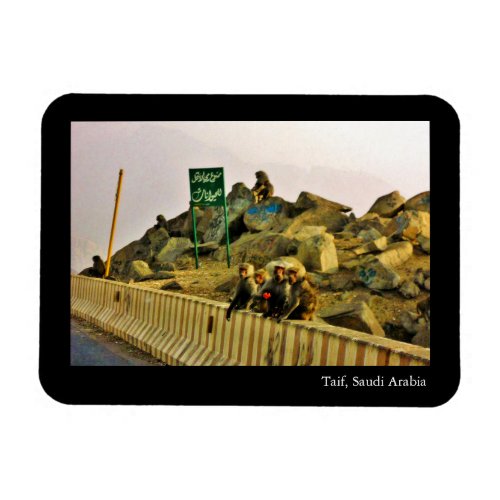 Taif Saudi Arabia Magnet