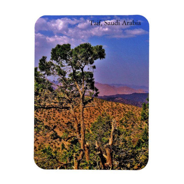 Taif, Saudi Arabia Magnet (Vertical)