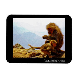 Taif, Saudi Arabia Magnet