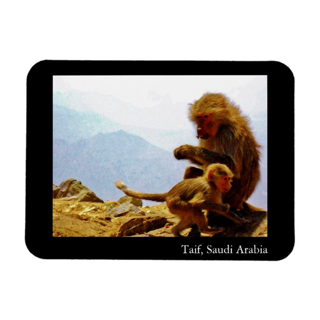 Taif, Saudi Arabia Magnet (Horizontal)