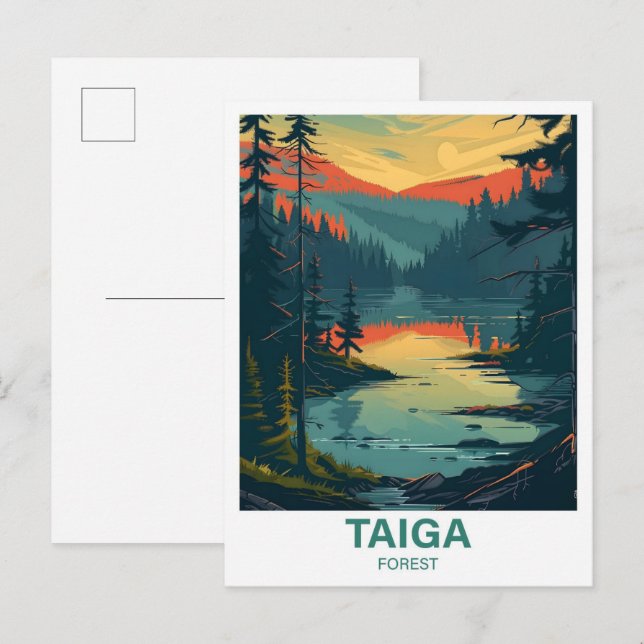 Taiga Forest Illustration Travel Postcard (Front/Back)