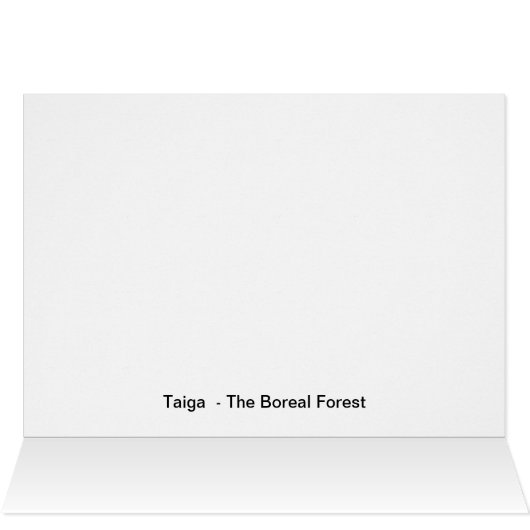 Taiga Summer (Inside Horizontal (Top))