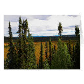 Taiga Summer (Front Horizontal)