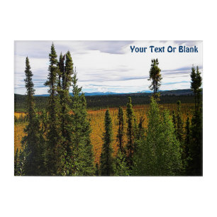 Taiga Summer Acrylic Print