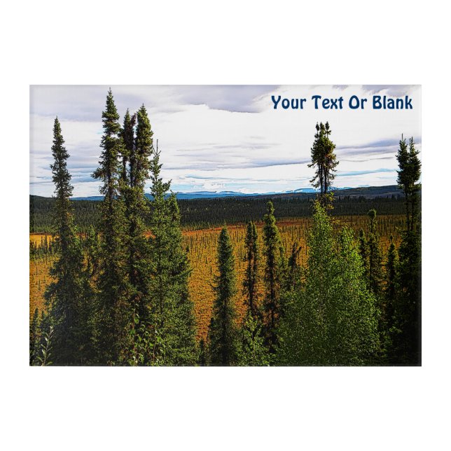 Taiga Summer Acrylic Print (Front)