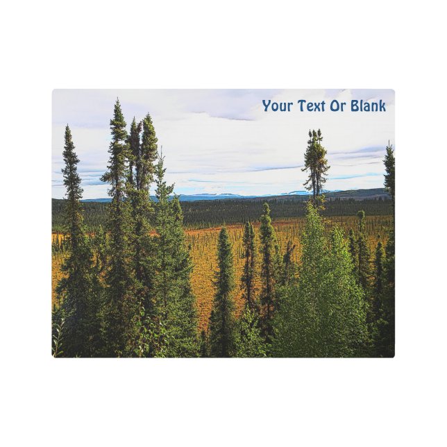 Taiga Summer Metal Print (Front)