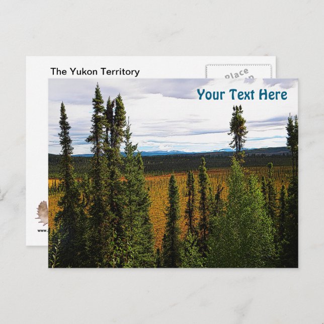 Taiga Summer Postcard (Front/Back)