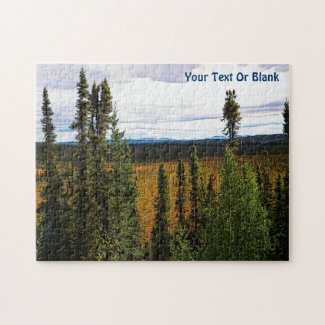 Taiga Summer - Yukon