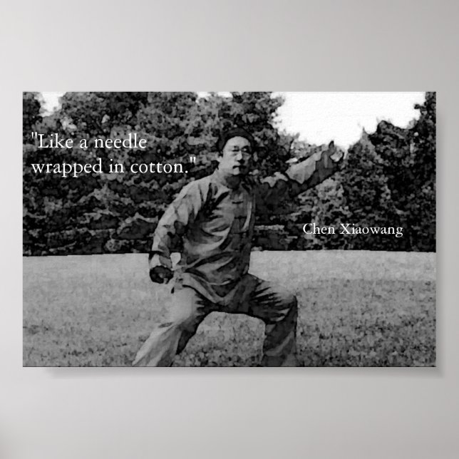 Taiji Poster (Front)