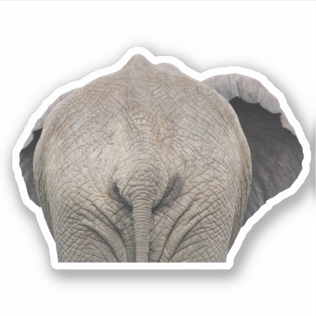 Tail Elephant Photo Sticker (Front)