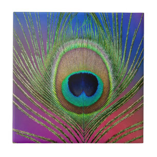 Tail feather of a peacock ceramic tile