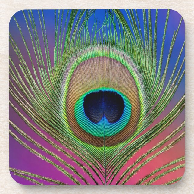 Tail feather of a peacock coaster (Front)