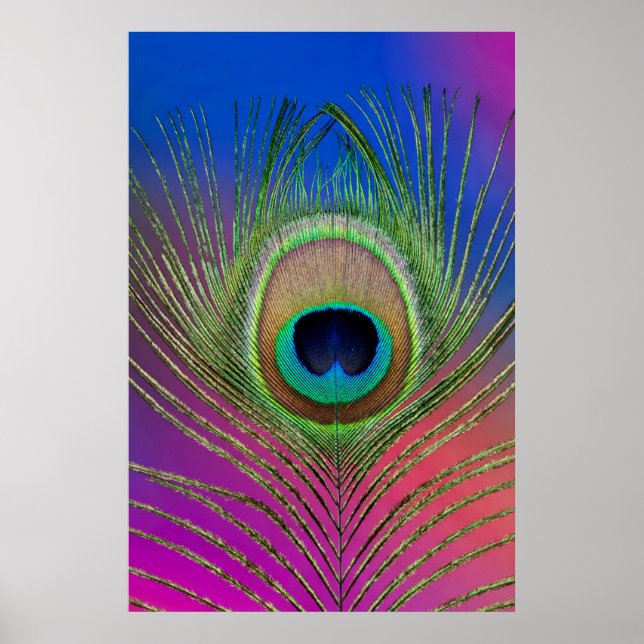 Tail feather of a peacock poster (Front)