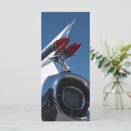 Tail Fin (Standing Front)