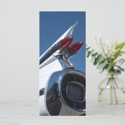 Tail Fin (Standing Front)