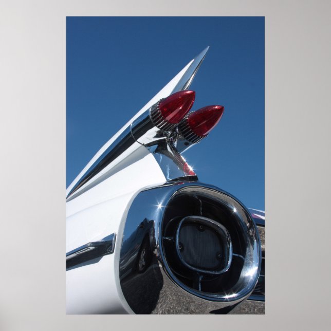 Tail Fin Poster (Front)