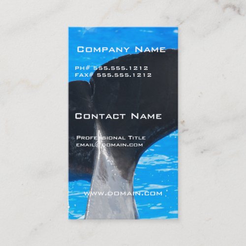 Tail of a Whale Business Cards