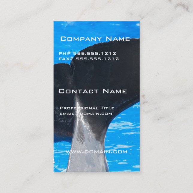 Tail of a Whale Business Cards (Front)