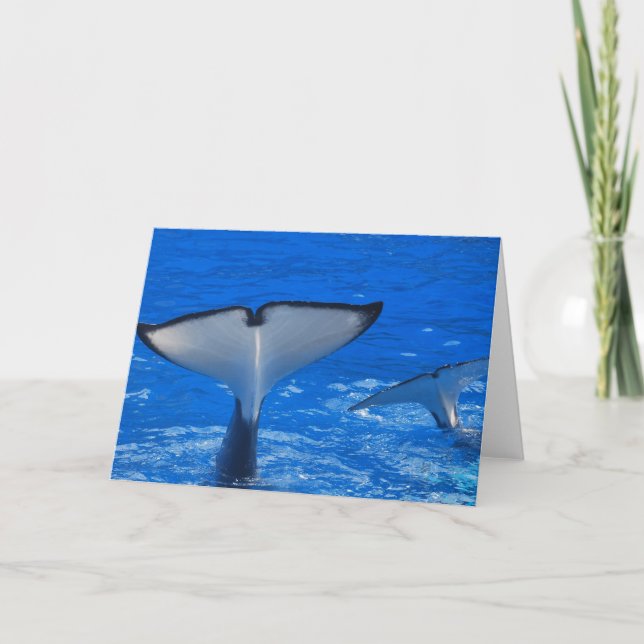 Tail of a Whale Greeting Card (Front)