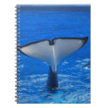 Tail of a Whale Notebook