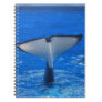 Tail of a Whale Notebook