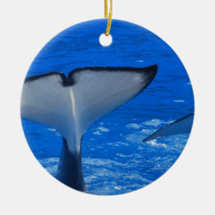 Tail of a Whale Ornament